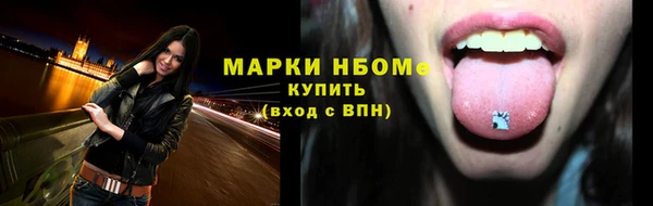 spice Богородицк