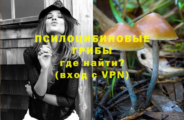 spice Волосово